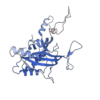 31059_7ecw_B_v1-0
The Csy-AcrIF14-dsDNA complex