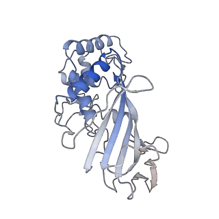 31059_7ecw_C_v1-0
The Csy-AcrIF14-dsDNA complex