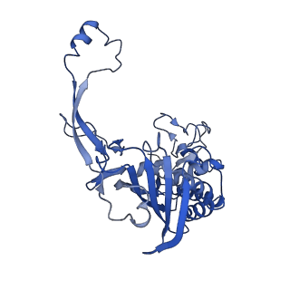 31059_7ecw_F_v1-0
The Csy-AcrIF14-dsDNA complex