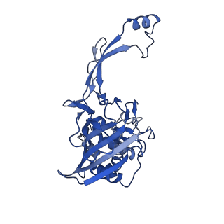 31059_7ecw_G_v1-0
The Csy-AcrIF14-dsDNA complex