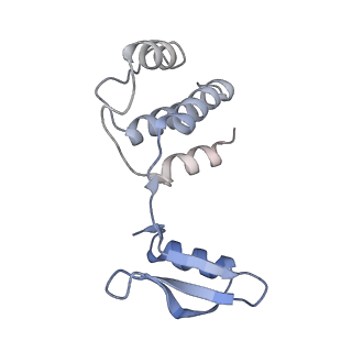 31059_7ecw_I_v1-0
The Csy-AcrIF14-dsDNA complex