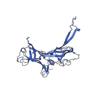 28026_8ed0_B_v1-1
Cryo-EM Structure of the P74-26 Tail Tube