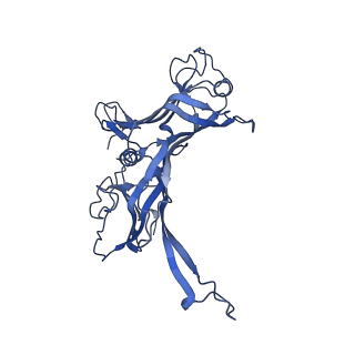 28026_8ed0_C_v1-1
Cryo-EM Structure of the P74-26 Tail Tube