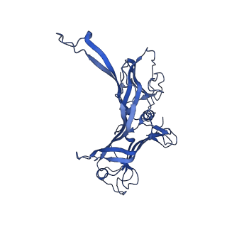 28026_8ed0_F_v1-1
Cryo-EM Structure of the P74-26 Tail Tube