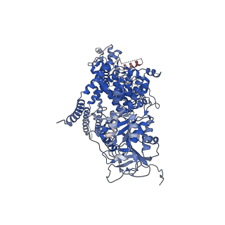 28031_8ed7_C_v1-2
cryo-EM structure of TRPM3 ion channel in apo state