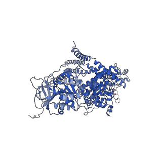 28031_8ed7_D_v1-2
cryo-EM structure of TRPM3 ion channel in apo state