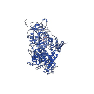 28032_8ed8_C_v1-2
cryo-EM structure of TRPM3 ion channel in the presence of PIP2 and PregS, state 1