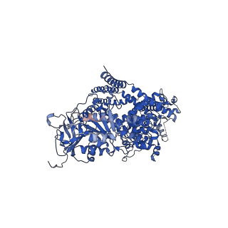 28033_8ed9_B_v1-1
cryo-EM structure of TRPM3 ion channel in the presence with PIP2 and PregS, state 2