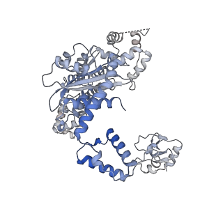28034_8edg_A_v1-0
Cryo-EM structure of the Hermes transposase bound to two left-ends of its DNA transposon