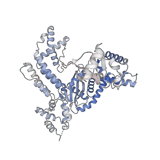 28034_8edg_C_v1-0
Cryo-EM structure of the Hermes transposase bound to two left-ends of its DNA transposon