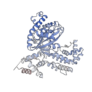 28034_8edg_E_v1-0
Cryo-EM structure of the Hermes transposase bound to two left-ends of its DNA transposon