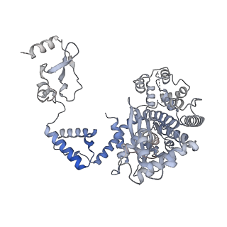 28034_8edg_G_v1-0
Cryo-EM structure of the Hermes transposase bound to two left-ends of its DNA transposon