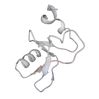 28034_8edg_I_v1-0
Cryo-EM structure of the Hermes transposase bound to two left-ends of its DNA transposon