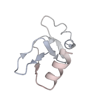 28034_8edg_K_v1-0
Cryo-EM structure of the Hermes transposase bound to two left-ends of its DNA transposon