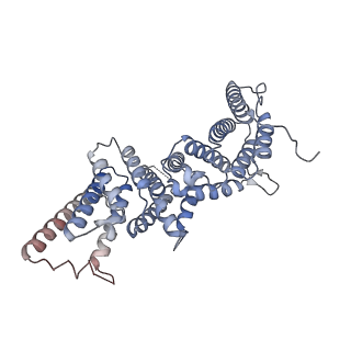 28035_8edl_A_v1-0
Cryo-EM structure of the full-length human NF1 dimer