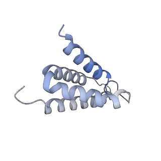 28036_8edm_A_v1-0
Cryo-EM structure of the full-length human NF1 dimer