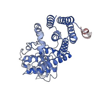 28036_8edm_B_v1-0
Cryo-EM structure of the full-length human NF1 dimer