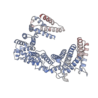 28037_8edn_A_v1-0
Cryo-EM structure of the full-length human NF1 dimer
