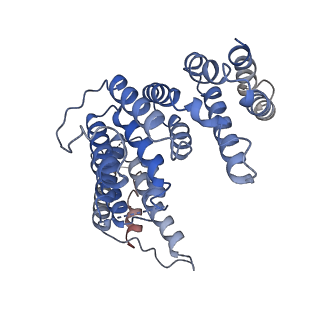28038_8edo_A_v1-0
Cryo-EM structure of the full-length human NF1 dimer