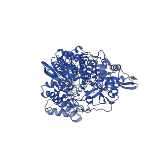 31061_7ed5_A_v1-0
A dual mechanism of action of AT-527 against SARS-CoV-2 polymerase