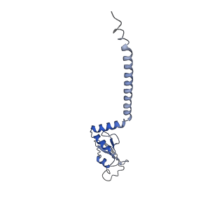 31061_7ed5_D_v1-0
A dual mechanism of action of AT-527 against SARS-CoV-2 polymerase