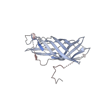 31062_7eda_O_v1-1
Structure of monomeric photosystem II