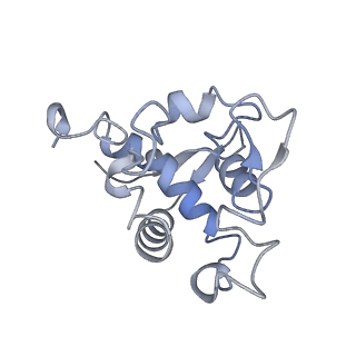 31062_7eda_V_v1-1
Structure of monomeric photosystem II
