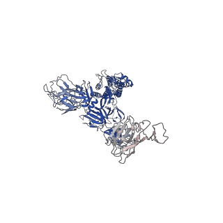 31069_7edf_A_v1-1
Cryo-EM structure of SARS-CoV-2 S-UK variant (B.1.1.7), one RBD-up conformation 1
