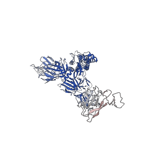 31070_7edg_A_v1-1
Cryo-EM structure of SARS-CoV-2 S-UK variant (B.1.1.7), one RBD-up conformation 2