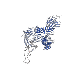 31071_7edh_C_v1-1
Cryo-EM structure of SARS-CoV-2 S-UK variant (B.1.1.7), one RBD-up conformation 3