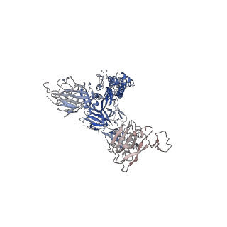 31072_7edi_A_v1-1
Cryo-EM structure of SARS-CoV-2 S-UK variant (B.1.1.7), two RBD-up conformation