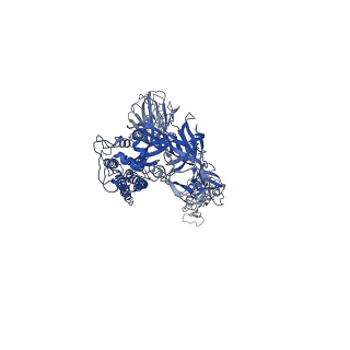 31073_7edj_A_v1-1
Cryo-EM structure of SARS-CoV-2 S-UK variant (B.1.1.7) in complex with Angiotensin-converting enzyme 2 (ACE2) ectodomain
