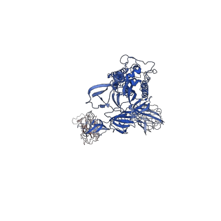 31073_7edj_B_v1-1
Cryo-EM structure of SARS-CoV-2 S-UK variant (B.1.1.7) in complex with Angiotensin-converting enzyme 2 (ACE2) ectodomain