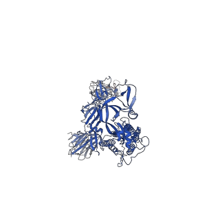 31073_7edj_C_v1-1
Cryo-EM structure of SARS-CoV-2 S-UK variant (B.1.1.7) in complex with Angiotensin-converting enzyme 2 (ACE2) ectodomain