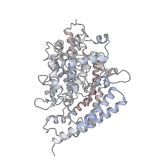 31073_7edj_I_v1-1
Cryo-EM structure of SARS-CoV-2 S-UK variant (B.1.1.7) in complex with Angiotensin-converting enzyme 2 (ACE2) ectodomain