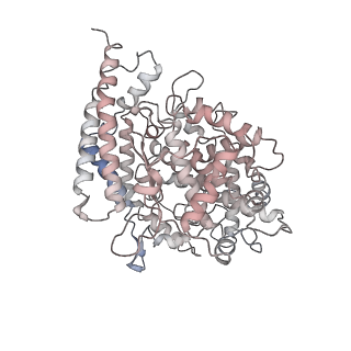 31073_7edj_J_v1-1
Cryo-EM structure of SARS-CoV-2 S-UK variant (B.1.1.7) in complex with Angiotensin-converting enzyme 2 (ACE2) ectodomain