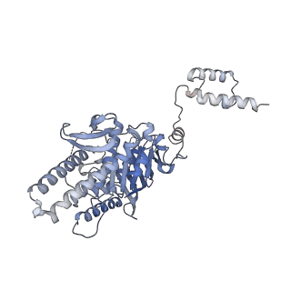 28049_8eea_D_v1-1
Structure of E.coli Septu (PtuAB) complex