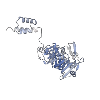 28049_8eea_F_v1-1
Structure of E.coli Septu (PtuAB) complex