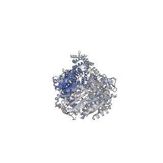 28050_8eeb_A_v1-1
Cryo-EM structure of human ABCA7 in Digitonin