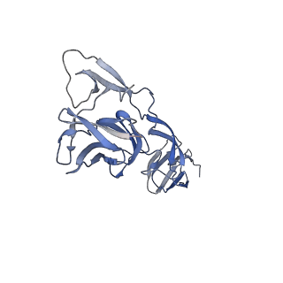 28060_8eev_B_v1-0
Venezuelan equine encephalitis virus-like particle in complex with Fab SKT-20