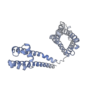 31076_7eeb_A_v1-1
Structure of the CatSpermasome