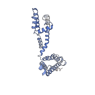 31076_7eeb_D_v1-1
Structure of the CatSpermasome