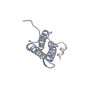 31076_7eeb_M_v1-1
Structure of the CatSpermasome