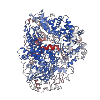 31077_7eei_A_v1-3
Structure of Rift Valley fever virus RNA-dependent RNA polymerase