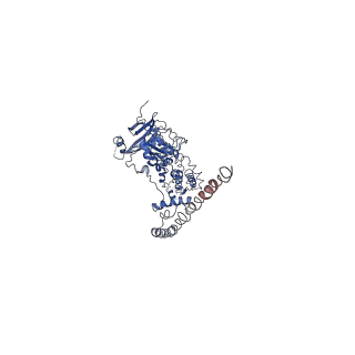31079_7eep_B_v1-1
Cyanophage Pam1 portal-adaptor complex