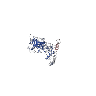 31079_7eep_C_v1-1
Cyanophage Pam1 portal-adaptor complex