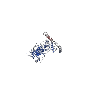 31079_7eep_E_v1-1
Cyanophage Pam1 portal-adaptor complex