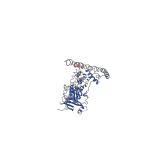 31079_7eep_F_v1-1
Cyanophage Pam1 portal-adaptor complex