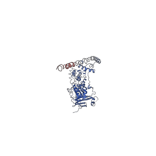 31079_7eep_G_v1-1
Cyanophage Pam1 portal-adaptor complex