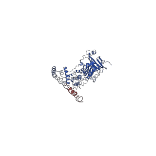 31079_7eep_K_v1-1
Cyanophage Pam1 portal-adaptor complex